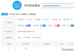 SEO排名提权实战操作，移动端SEO优化必学